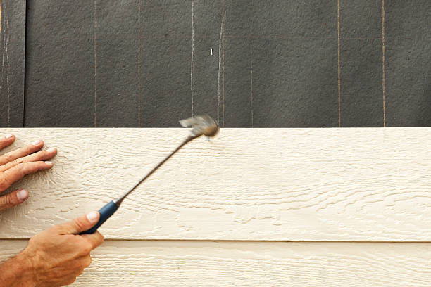 Best Siding Removal and Disposal  in Cadiz, OH